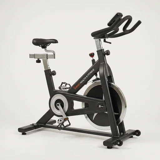 Sunny Health & Fitness Indoor Cycling Bike